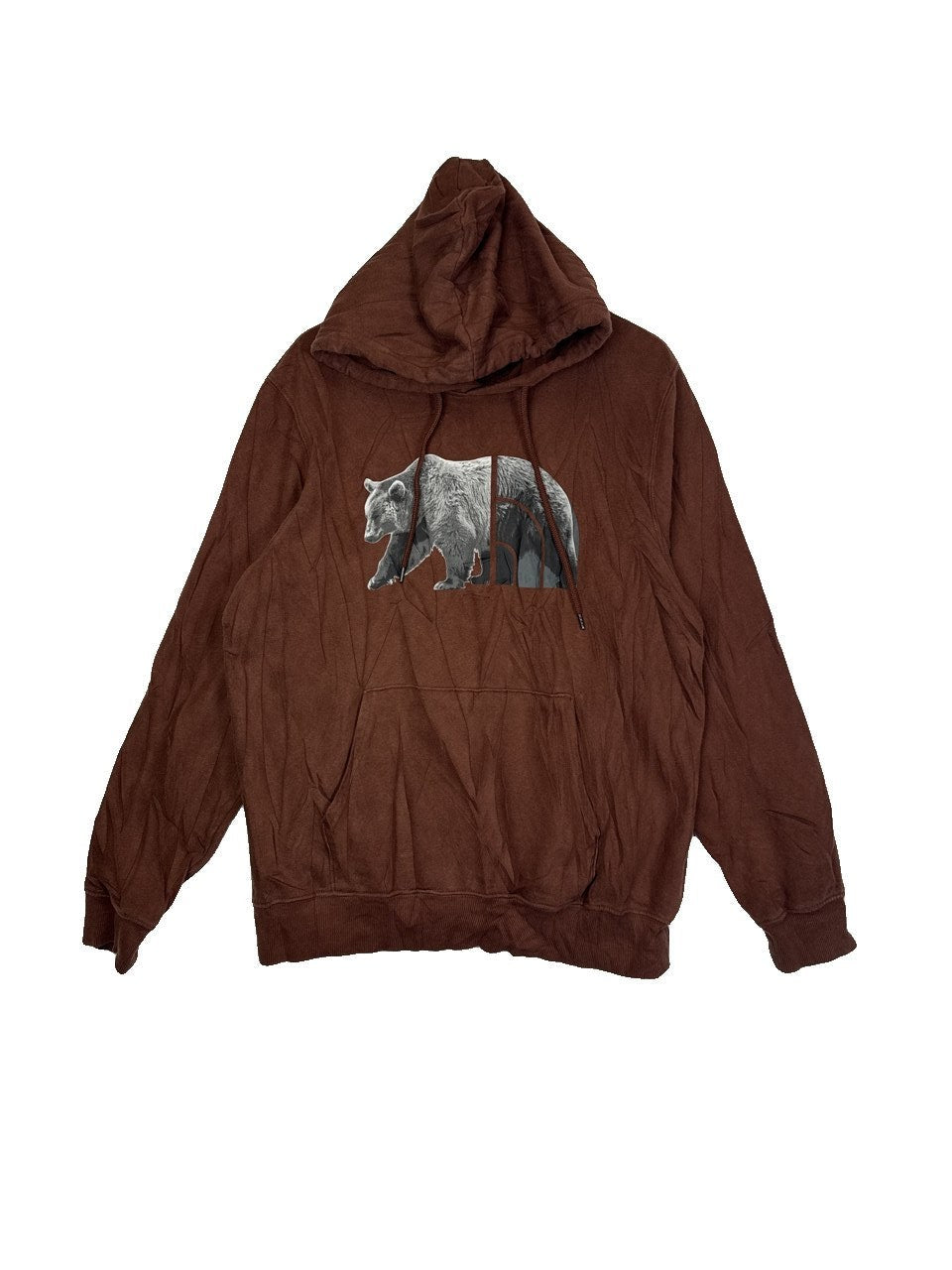 The North Face Graphic Hoodie