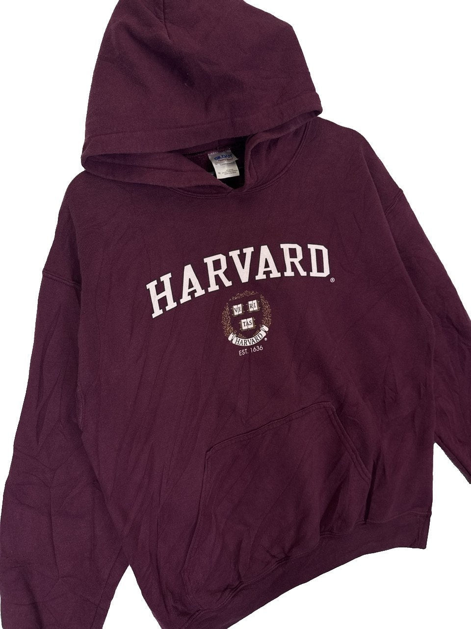2010s Harvard Hoodie