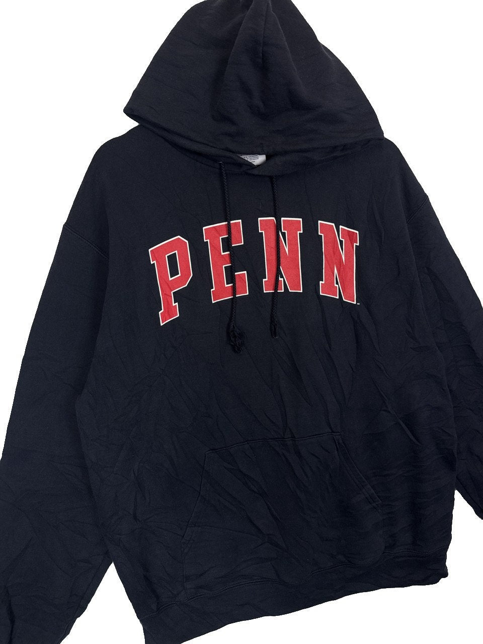 Champion Penn Hoodie