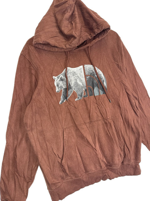 The North Face Graphic Hoodie
