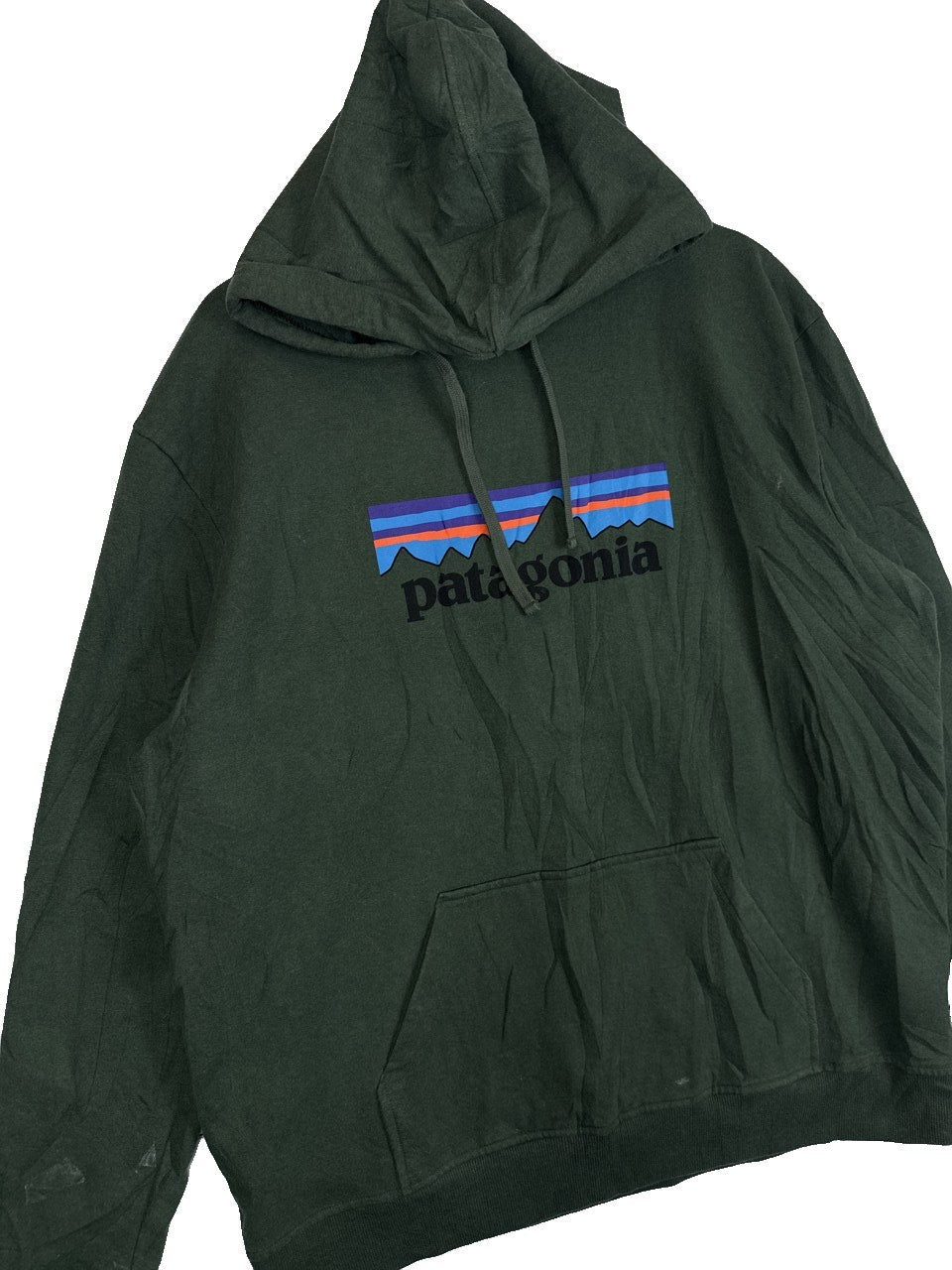 Patagonia Hoodie