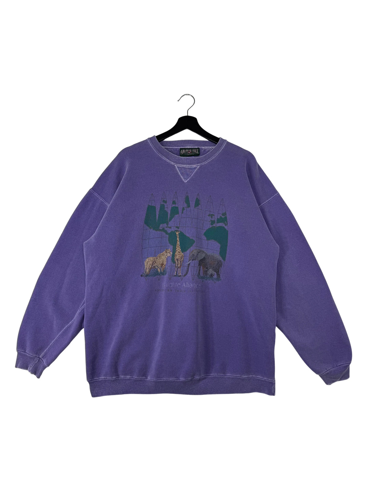 90's American Eagle Crewneck